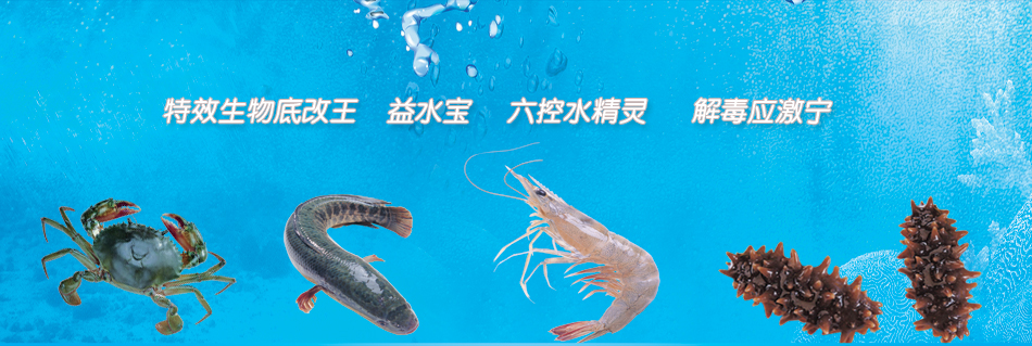 光合细菌是良好的鱼塘水质改良剂